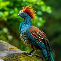 nazionale uccello di Guatemala alto qualità 4k ultra foto