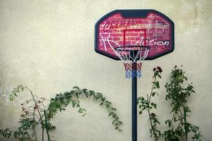 sport in forma e concetto di vita sana basket foto