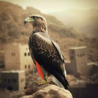 nazionale uccello di yemen alto qualità 4k ultra HD foto