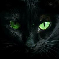 misterioso nero gatto con penetrante verde occhi foto