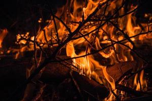 primo piano di un fuoco con ramoscelli foto