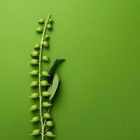 pisello verde minimalista sfondo alto qualità 4k hdr foto