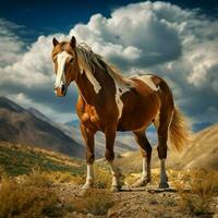 foto di cavallo pieno tiro alto qualità hdr 16k ultra HD