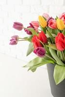 primo piano di tulipani freschi e luminosi nel secchio