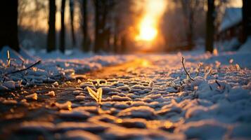 il fascino di un' inverno giorno. generativo ai foto