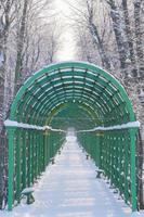 arco di traliccio verde nel parco giardino estivo vicolo a san pietroburgo foto