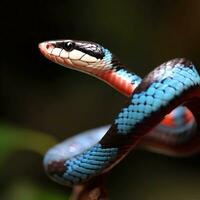 il blu corallo di serpente iridescente bilancia bagliore piace un' prezioso gioiello ,ai generato foto