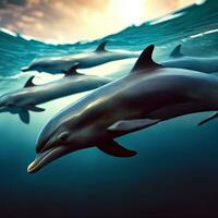 maestoso filatore delfini salire per il illuminata dal sole superficie ,ai generato foto