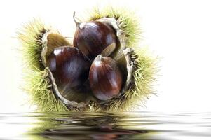 un' gruppo di castagne galleggiante nel acqua foto