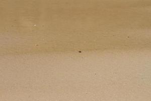 sabbia bagnata illuminata dalla morbida alba a rio de janeiro, brasile
