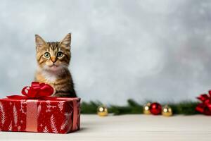piccolo animale domestico centrico minimalista Natale regalo diffusione sfondo con vuoto spazio per testo foto