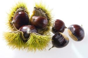 un' gruppo di castagne su un' bianca sfondo foto