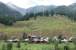 panoramico Visualizza di il naturale bellezza di tao culo, neelum valle, kashmir. tao culo è famoso per suo lussureggiante verde alberi e naturale bellezza. foto