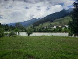 panoramico Visualizza di il naturale bellezza di tao culo, neelum valle, kashmir. tao culo è famoso per suo lussureggiante verde alberi e naturale bellezza. foto