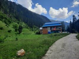 panoramico Visualizza di il naturale bellezza di tao culo, neelum valle, kashmir. tao culo è famoso per suo lussureggiante verde alberi e naturale bellezza. foto