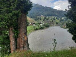 panoramico Visualizza di il naturale bellezza di tao culo, neelum valle, kashmir. tao culo è famoso per suo lussureggiante verde alberi e naturale bellezza. foto