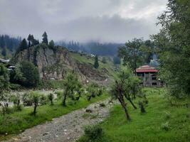 panoramico Visualizza di il naturale bellezza di tao culo, neelum valle, kashmir. tao culo è famoso per suo lussureggiante verde alberi e naturale bellezza. foto