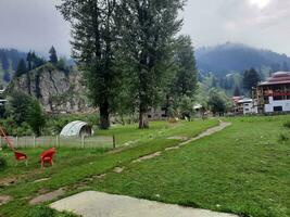 panoramico Visualizza di il naturale bellezza di tao culo, neelum valle, kashmir. tao culo è famoso per suo lussureggiante verde alberi e naturale bellezza. foto