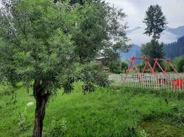 panoramico Visualizza di il naturale bellezza di tao culo, neelum valle, kashmir. tao culo è famoso per suo lussureggiante verde alberi e naturale bellezza. foto