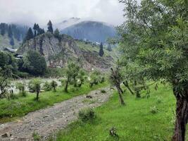 panoramico Visualizza di il naturale bellezza di tao culo, neelum valle, kashmir. tao culo è famoso per suo lussureggiante verde alberi e naturale bellezza. foto