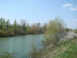 panoramico Visualizza di un idilliaco estate paesaggio con un' chiaro lago e verde pascoli foto