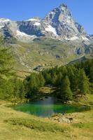 riflessi di il cervino montagna nel il blu lago foto