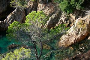 costa brava e costiero sentiero lungo il aspro costa di settentrionale catalogna, Spagna foto