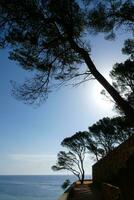 costa brava e costiero sentiero lungo il aspro costa di settentrionale catalogna, Spagna foto