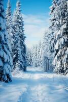 innevato pino alberi nel un' inverno Paese delle meraviglie. foto