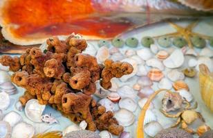 pesce essiccato animale marino e conchiglia foto