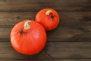 zucca con ragni su un' di legno tavolo, Halloween concetto foto