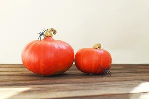 zucca con ragni su un' di legno tavolo, Halloween concetto foto