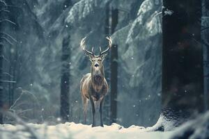 un' cervo sta nel davanti di un' neve coperto campo nel un' inverno foresta. generativo ai foto