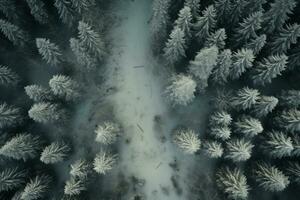 aereo Visualizza di un' autostrada avvolgimento attraverso un' foresta nel tutti e due estate e inverno le stagioni. generativo ai foto