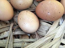 proteine alimentari uova crude di pollo biologico foto