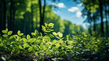 verde naturale erba e alberi nel il foresta. concetto verde energia ecologia e ambientale cura foto