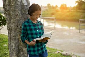 carino poco ragazza lettura libro su albero nel park.sstkhome foto