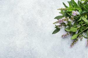 fresco menta rametti con le foglie e fiori su un' grigio calcestruzzo sfondo. copia spazio. foto