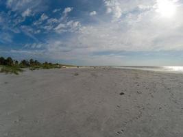 scene di spiaggia a Hunting Island South Carolina foto