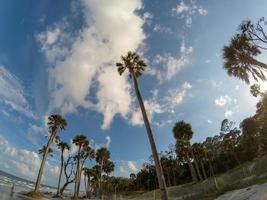 scene di spiaggia a Hunting Island South Carolina foto