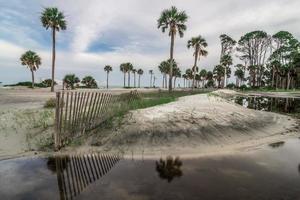 scene della spiaggia della Carolina del sud dell'isola di caccia foto