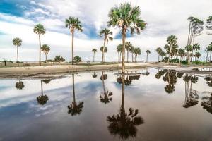 scene della spiaggia della Carolina del sud dell'isola di caccia foto