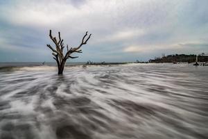 scene della spiaggia della Carolina del sud dell'isola di caccia foto