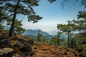 Visualizza su il mare a partire dal superiore di un' montain nel Rodi, Grecia foto