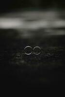 Due anelli sedersi su un' tavolo nel nero e bianca foto