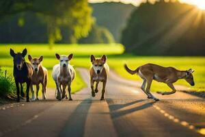 un' gruppo di cani in esecuzione giù un' strada. ai-generato foto