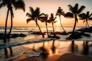 palma alberi su il spiaggia a tramonto. ai-generato foto