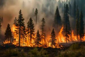 un' foresta fuoco nel il selvaggio. ai-generato foto