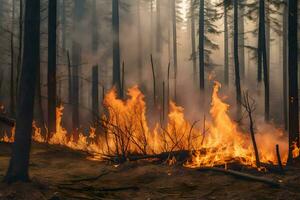 un' foresta fuoco nel il mezzo di un' foresta. ai-generato foto