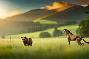 Due zebre e un' orso nel un' campo. ai-generato foto